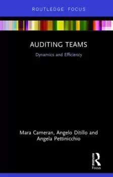 Auditing TeamsDynamics and Efficiency