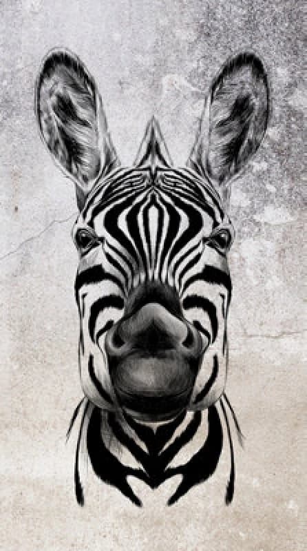 Erismann Cool Zebra Digital Wallpaper Black & White