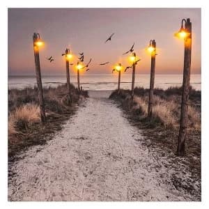 Seashore LED Beach Canvas