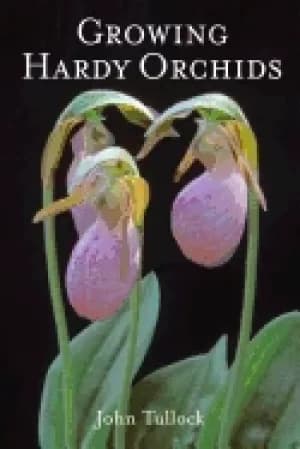 growing hardy orchids
