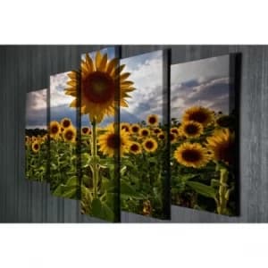 BC039 Multicolor Decorative Canvas Painting (5 Pieces)