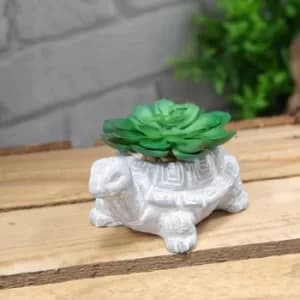 Mini Cement Tortoise Planter with Succulent