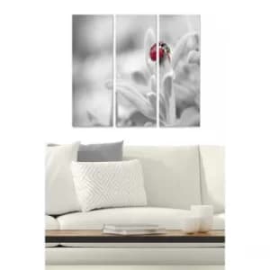 MDF796483 Multicolor Decorative MDF Painting (3 Pieces)