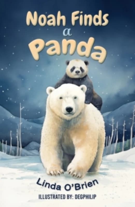 Noah Finds a Panda Paperback / softback