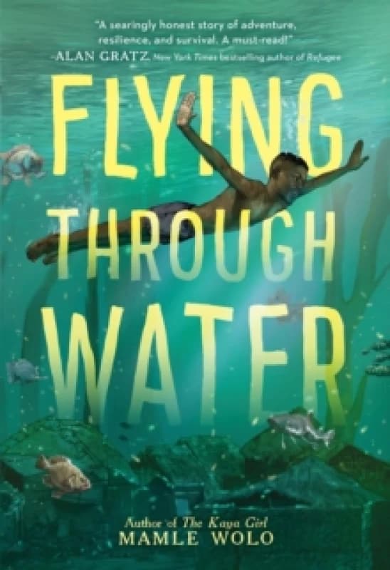 Flying through Water Hardback