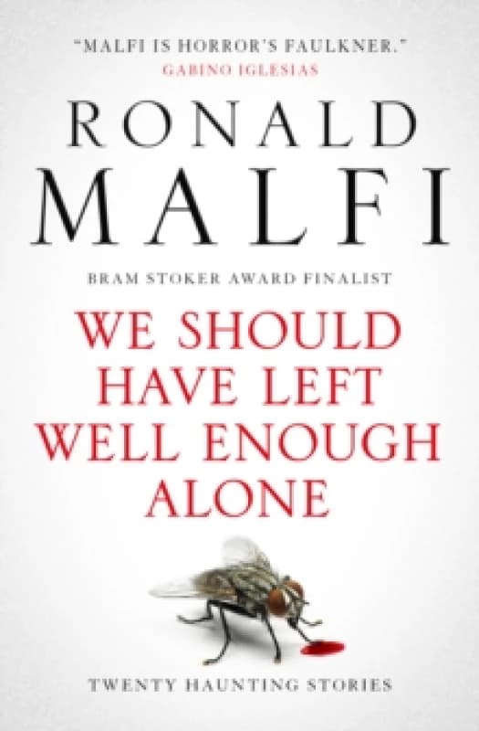 We Should Have Left Well Enough Alone Paperback / softback