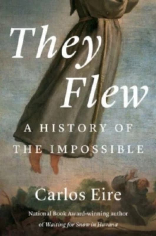 They Flew : A History of the Impossible Paperback / softback