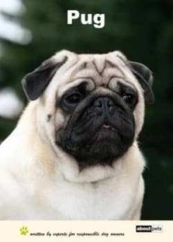 Pug Book