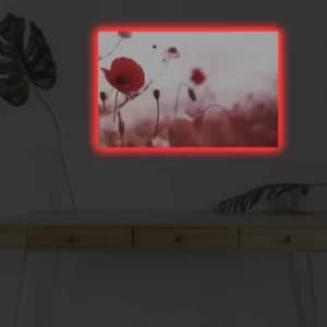 4570DHDACT-140 Multicolor Decorative LED Lighted Canvas Painting