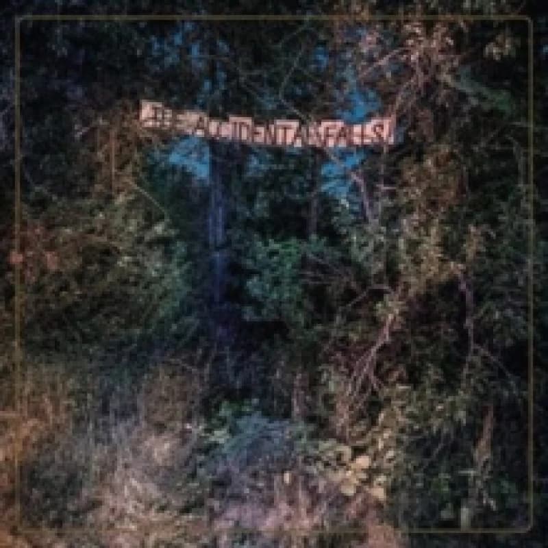 The accidental falls CD / Album