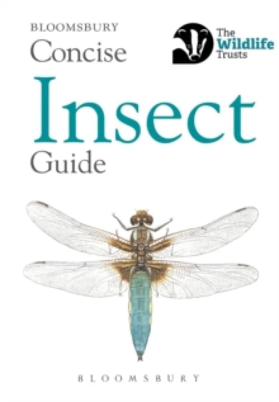 Concise Insect Guide Paperback / softback