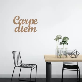 Carpediem 1 - Copper Copper Decorative Metal Wall Accessory