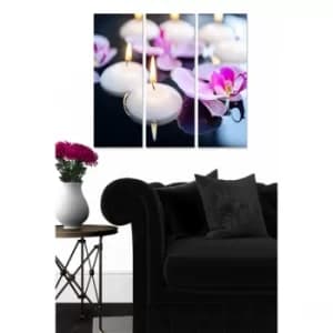 MDF28775111 Multicolor Decorative MDF Painting (3 Pieces)