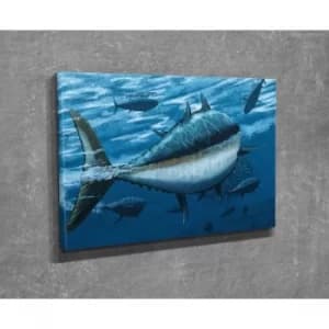 DC271 Multicolor Decorative Canvas Painting