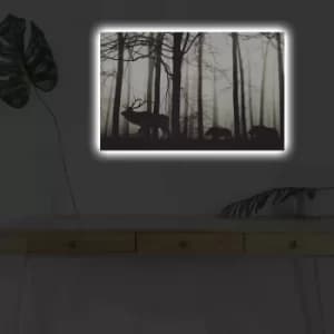 4570DHDACT-080 Multicolor Decorative LED Lighted Canvas Painting