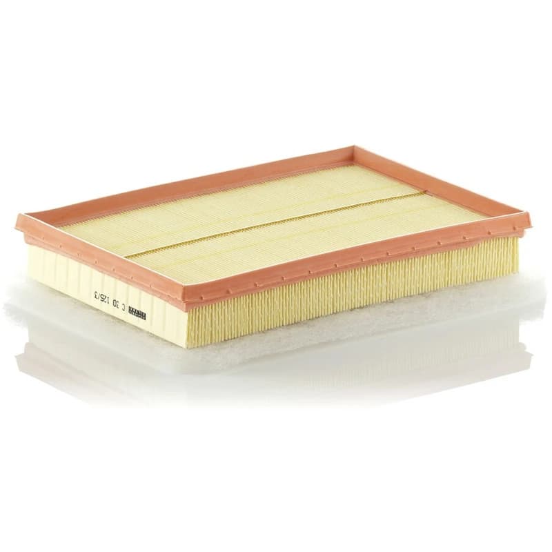 MANN-FILTER C 30 125/3 Air filter Filter Insert Air Filter (8)