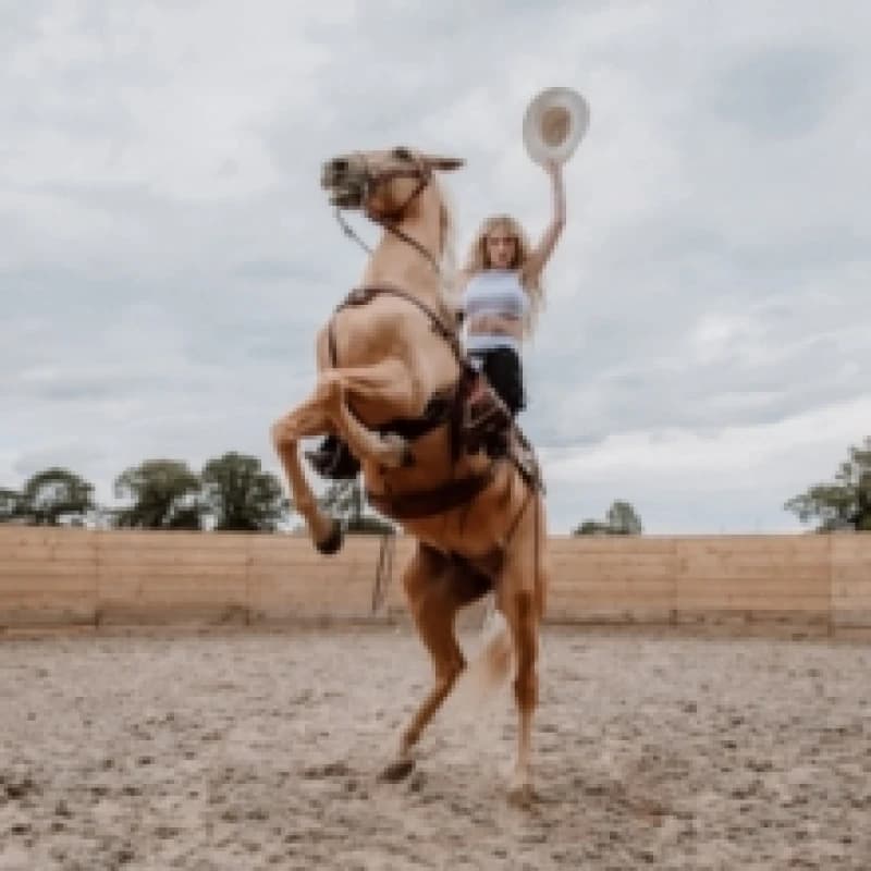 Emotional Rodeo CD / Album