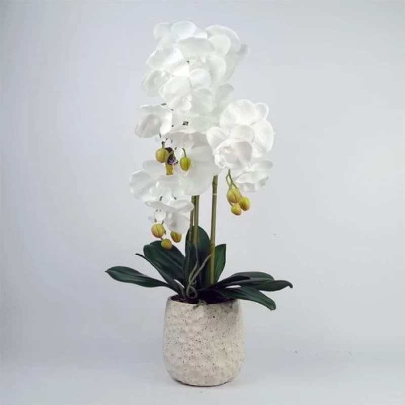Leaf 60cm Pure White Orchid with Ceramic Bubble Planter Green