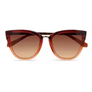 Ted Baker Cat Eye Sunglasses - Orange