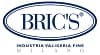 BRIC'S Logo