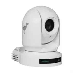 Image of BIRDDOG Eyes P200W