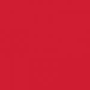Image of Crimson Matt Acrylic Panel 2440 x 900mm