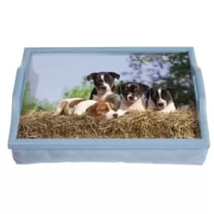 Image of Aidapt Wooden Lap Tray With Cushion
