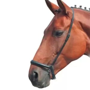 Image of Shires Blenheim Drop Noseband - Brown