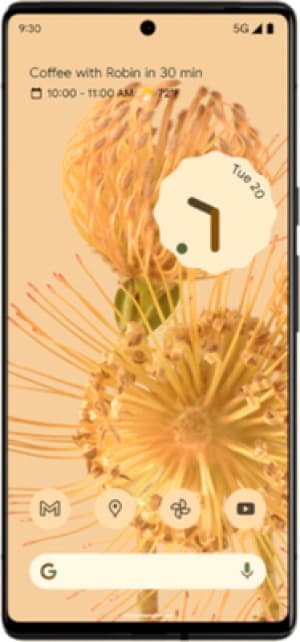 Image of Google Pixel 6 Pro 5G 128GB