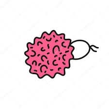 Bath Sponges Logo