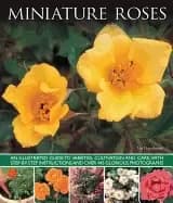 Image of miniature roses
