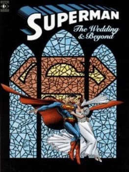 Image of The Wedding and beyond by Dan Jurgens Paperback
