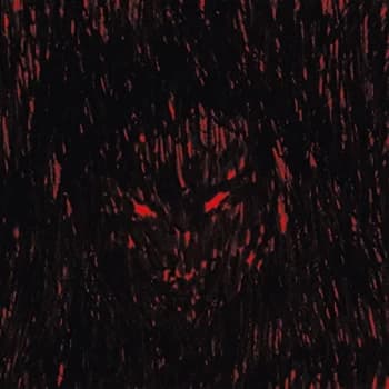 Image of DJ Richard - Dies Irae Xerox CD