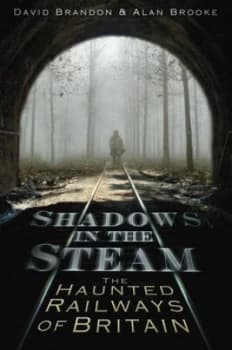 Image of Shadows in the Steam by David Brandon Book