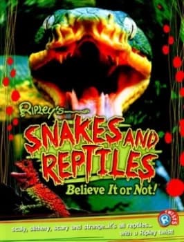 Image of Snakes and Reptiles by Kezia Endsley Paperback