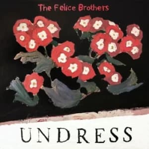 Image of The Felice Brothers ‎- Undress Vinyl