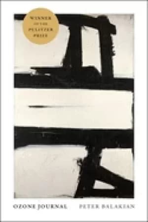 Image of ozone journal