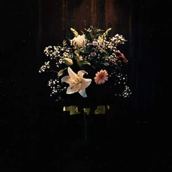 Image of Lastelle - Delicate Vinyl