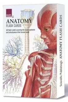 Image of Anatomy Flash Cards