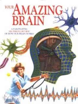 Image of Your Amazing Brain by Jenny Bryan Hardback