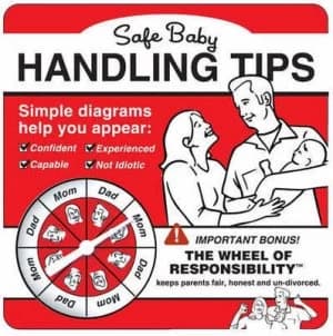 Image of Safe Baby Handling Tips by David Sopp Paperback