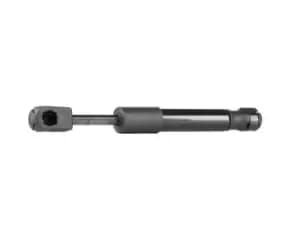 Image of RIDEX Tailgate strut VW 219G0210 1E0827550,1E0827550A,1E0827550B
