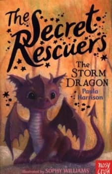Image of The Storm Dragon by Paula Harrison Book