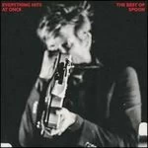 Image of everything hits at once the best of spoon