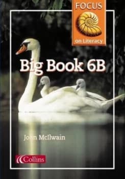 Image of Focus on Literacy 39 - Big Book 6b by John Mcilwain Paperback