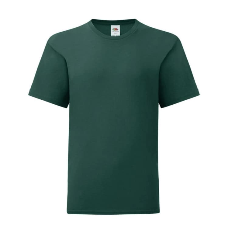 Image of Fruit Of The Loom Iconic 150 boys's in Green
