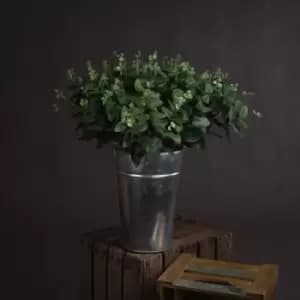 Image of Cineraria Eucalyptus Spray