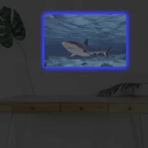 Image of 4570DHDACT-030 Multicolor Decorative LED Lighted Canvas Painting