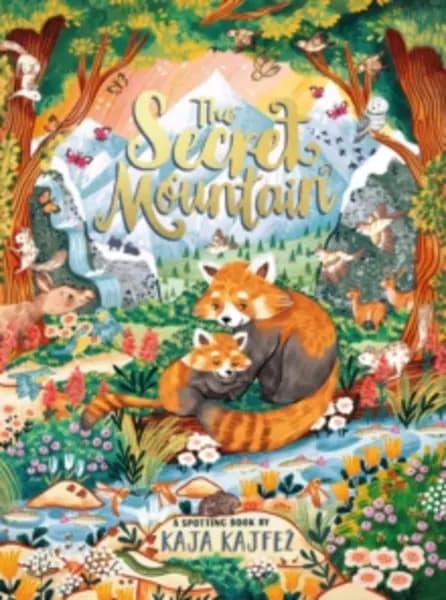 Image of The Secret Mountain Hardback