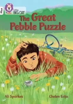 Image of The great pebble puzzle by Ali Sparkes